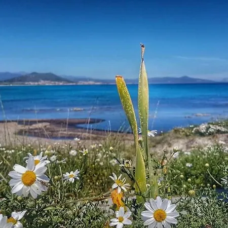 Monolocale Yellow * Siniscola