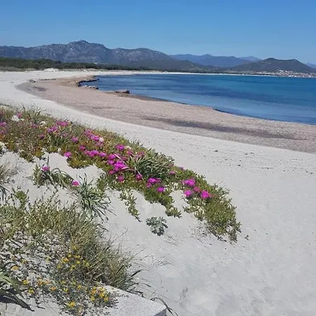 Monolocale Yellow Apartamento