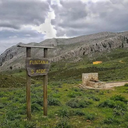 Apartment Monolocale Yellow *